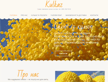 Tablet Screenshot of kulkaz.com